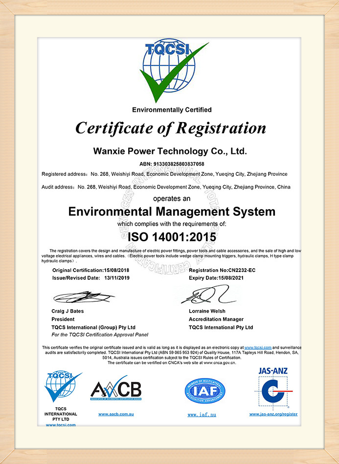 Management System Certificate (2)