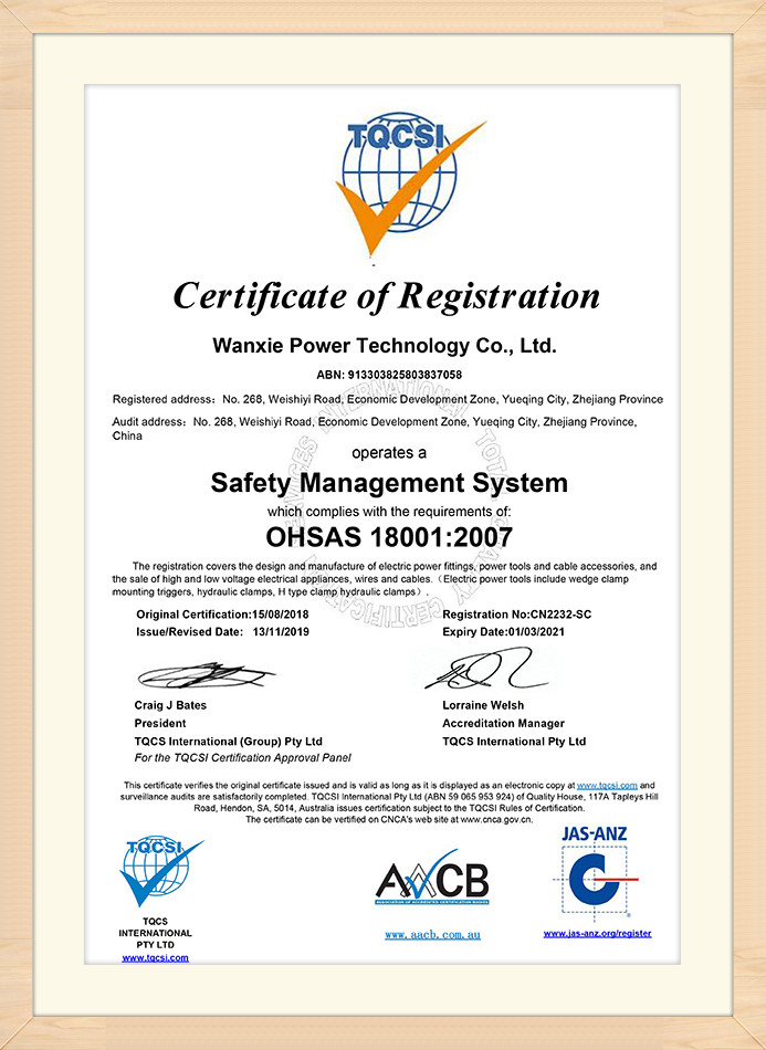 Management System Certificate (4)