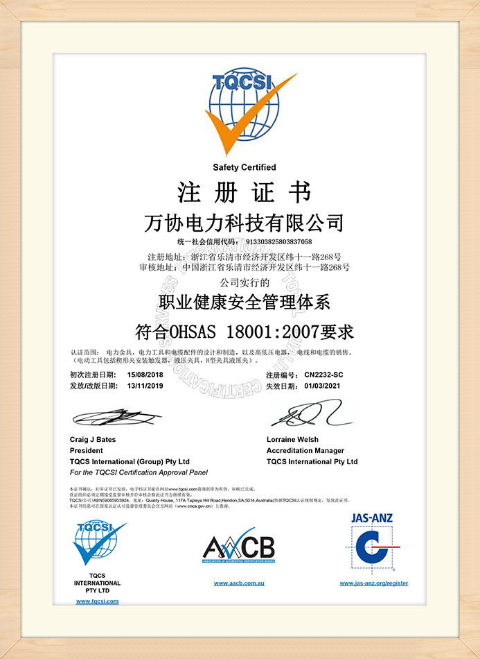 Management System Certificate (5)